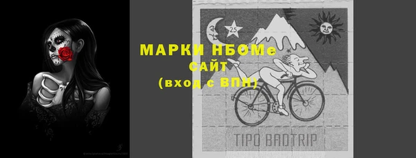тгк Горно-Алтайск