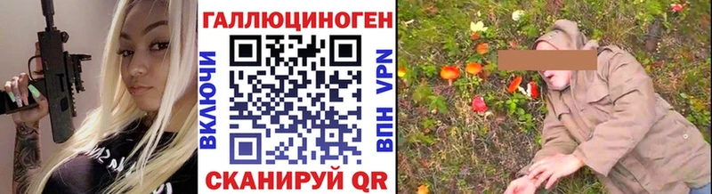 Псилоцибиновые грибы Cubensis  Гусь-Хрустальный 
