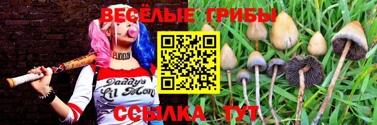 Галлюциногенные грибы мицелий  Псилоцибиновые грибы мицелий  Вход с VPN  Гусь-Хрустальный 