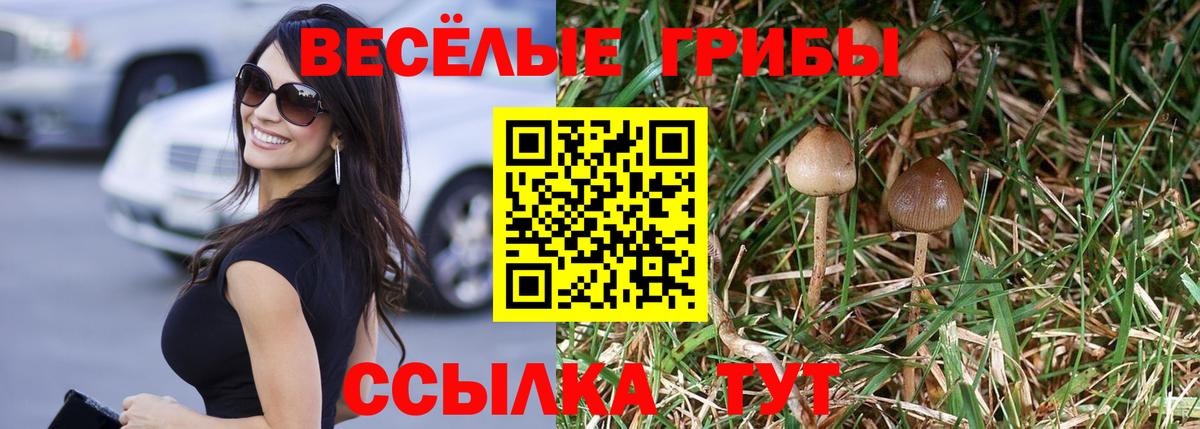 Галлюциногенные грибы прущие грибы Гусь-Хрустальный