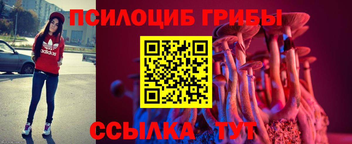 Псилоцибиновые грибы Psilocybe Гусь-Хрустальный